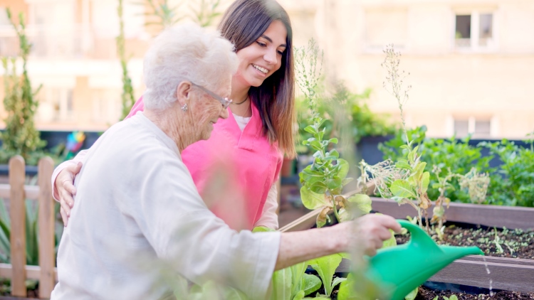 senior gardening